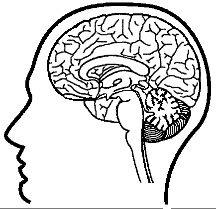 Effortfulg: Brain Coloring Pages
